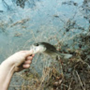 Meet your Posher, Logan_